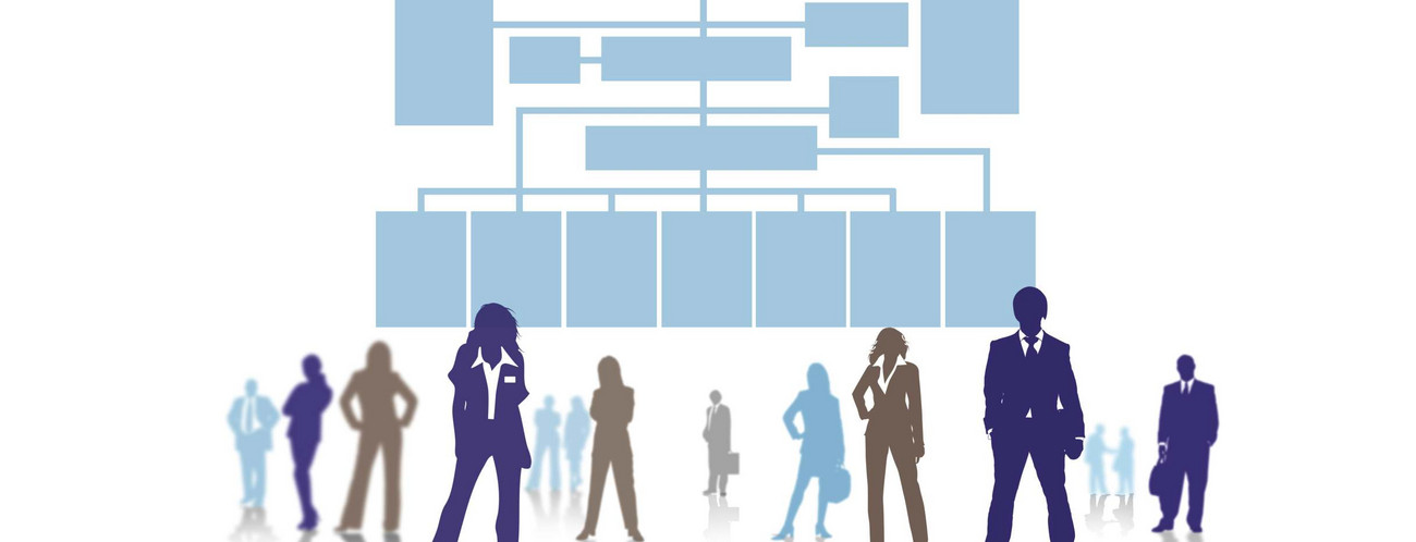 Fachbereiche des MLR