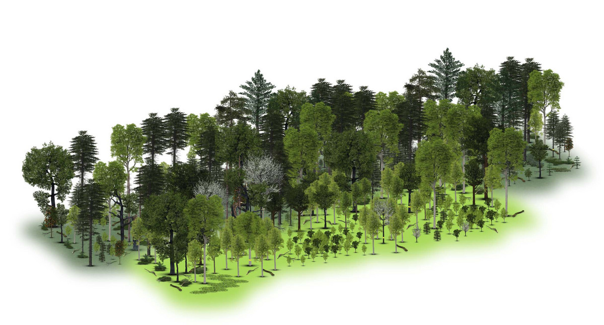 Waldentwicklungstypen (WET)