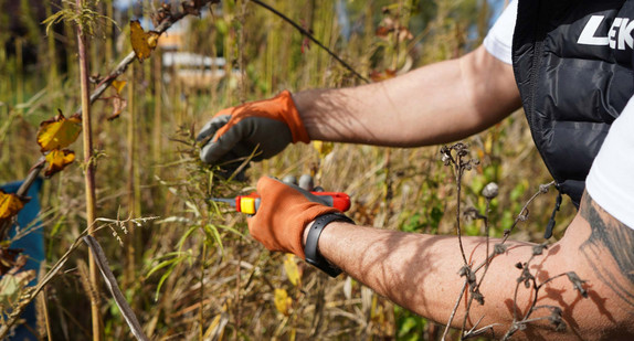 Herstellung Wanderstock
