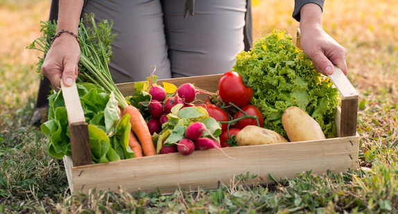 Gemüsekorb