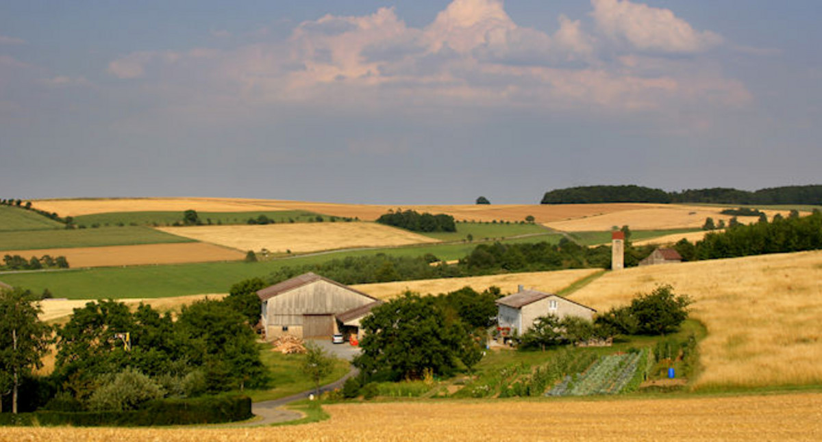 Flurneuordnung für Landwirtschaft