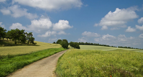 Symbolbild Feldweg