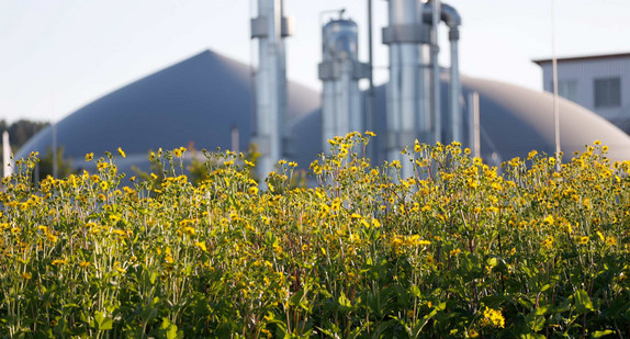 Biogasanlage